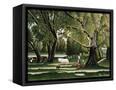 Canvas Black