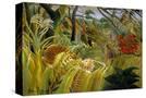 Stretched Canvas