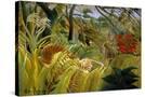 Stretched Canvas