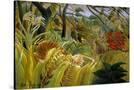 Stretched Canvas