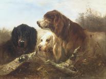 Good Friends-Henri Schouten-Stretched Canvas