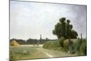Wood Mount