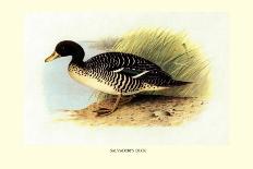 Madagascan Teal-Henrick Gronvold-Art Print