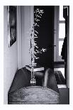 A Small Solitary Tree-Henriette Lund Mackey-Photographic Print