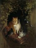 Sitting Pretty-Henriette Ronner-Knip-Stretched Canvas