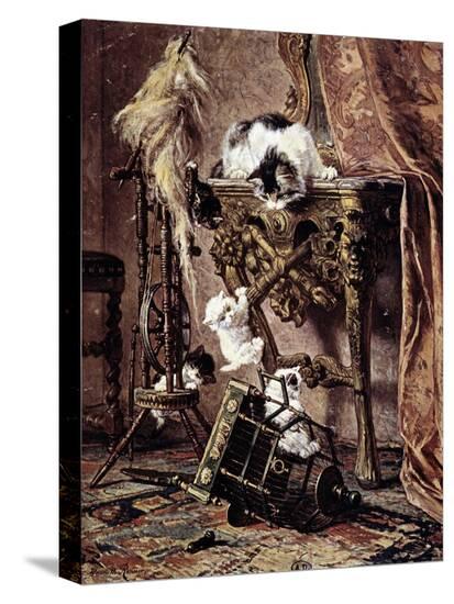 Stretched Canvas Print, , large