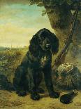 A flat coated Retriever by a tree-Henriette Ronner-Knip-Giclee Print