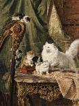 Sitting Pretty-Henriette Ronner-Knip-Giclee Print