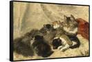Canvas Black