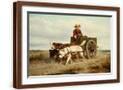 Brown Frame