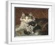 Chelsea White