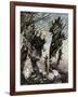 Henrik Ibsen 's Peer-Arthur Rackham-Framed Giclee Print