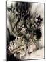 Henrik Ibsen 's Peer-Arthur Rackham-Mounted Giclee Print