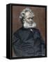 Henrik Ibsen (Skien, 1828-Christiania, 1906). Norwegian Writer-Prisma Archivo-Framed Stretched Canvas