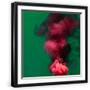 Black Frame