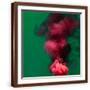Brown Frame