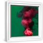 White Frame