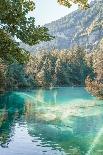 Lake Brienz-Henrike Schenk-Photographic Print