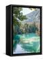 Canvas Black