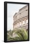 Essential Black
