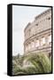 Canvas Black