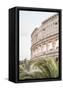 Canvas Black