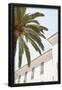 Essential Black