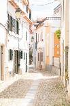 Skyline of Menton-Henrike Schenk-Photographic Print