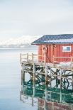 Lake Brienz-Henrike Schenk-Photographic Print