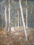 November in the Adirondacks, Circa 1885-Henry Alexander-Giclee Print