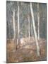 Wood Mount