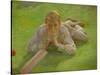 Henry Allen in Cricketing Whites-Henry Scott Tuke-Stretched Canvas