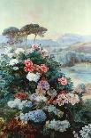 In Full Bloom-Henry Arthur Bonnefoy-Giclee Print