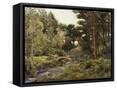 Canvas Black