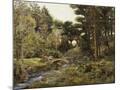 Wood Mount
