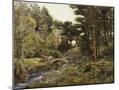 Wood Mount