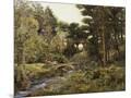 Wood Mount