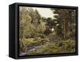 Canvas Black