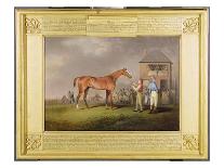 His Royal Highness, the Prince of Wales' Bay Racehorse 'sir David' by 'Trum-Henry Bernard Chalon-Giclee Print
