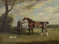 The Earl of Shrewsbury's Groom Holding a Hunter, C.1800-Henry Bernard Chalon-Giclee Print