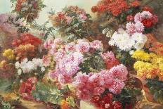 Colorful Chrysanthemums-Henry Bonnefoy-Framed Stretched Canvas