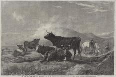 Cattle on the Sands, Near Port Madoc, North Wales-Henry Brittan Willis-Framed Giclee Print