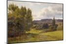 Wood Mount
