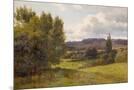 Wood Mount