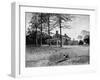 Henry Clay's Home-null-Framed Photographic Print