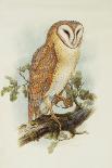 Barn Owl-Henry Constantine Richter-Giclee Print