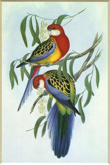 Giclee Print, , large