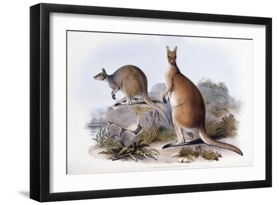 Premium Giclee Print, , large