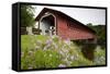 Henry Covered Bridge-Paul Souders-Framed Stretched Canvas