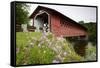 Henry Covered Bridge-Paul Souders-Framed Stretched Canvas